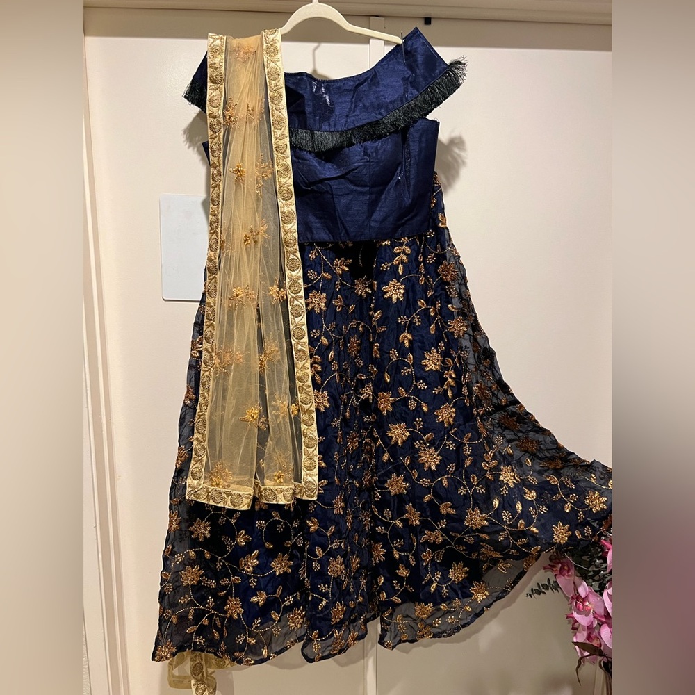 Designer gorgeous Indian Lehenga Chaniya Choli in blue and gold
